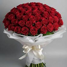 Букет 101 Красная роза Блэк Мэджик #REPLACE_PRED# Михайловской Слободе
