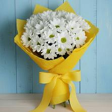 Букет цветов из:  Хризантемы в Михайловской Слободе