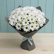 Букет цветов из:  Хризантемы #REPLACE_PRED# Михайловской Слободе