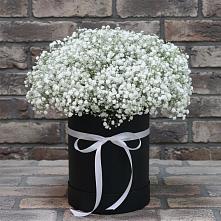 Цветочная композиция из Гипсофила в шляпной коробке #REPLACE_PRED# Михайловской Слободе